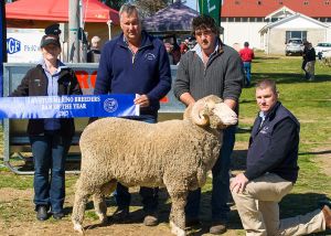 2017 Ram of The Year - Lach River Merinos