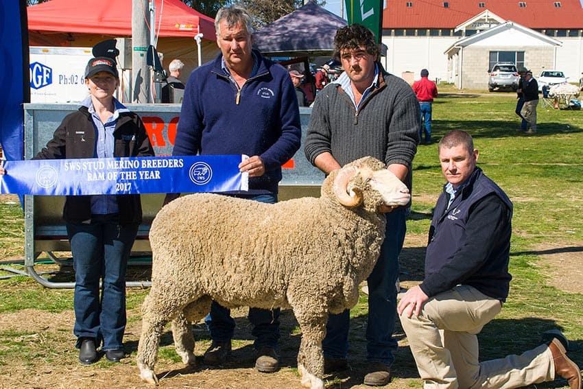 2017 Ram of The Year - Lach River Merinos