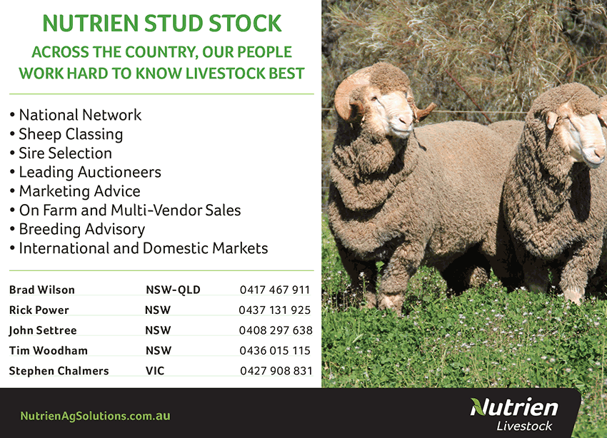 Nutrien Livestock